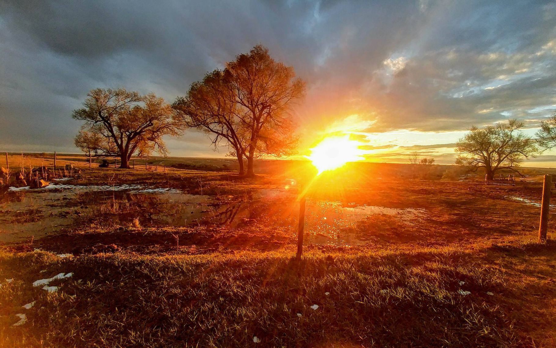 Sunset near Curtis